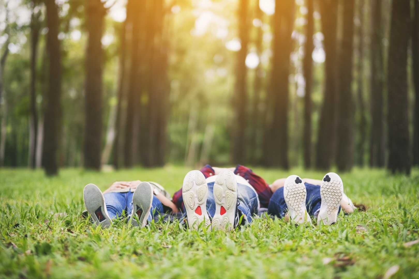 3 junge Menschen liegen in einem Wald auf dem Boden